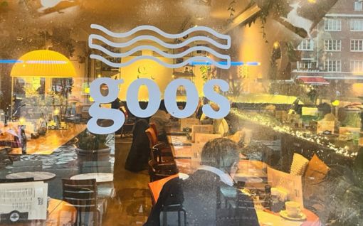 Pub quiz cafe Goos Rivierenbuurt Amsterdam