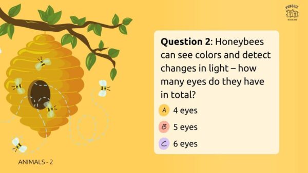 General Quiz 2025 #3 example qustion 3