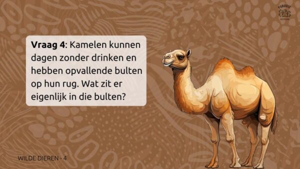 DierenQuiz - Afbeelding 6